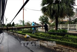 Phú Yên, Đắk Lắk nỗ lực khắc phục hậu quả bão số 12 